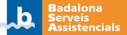 logo BSA